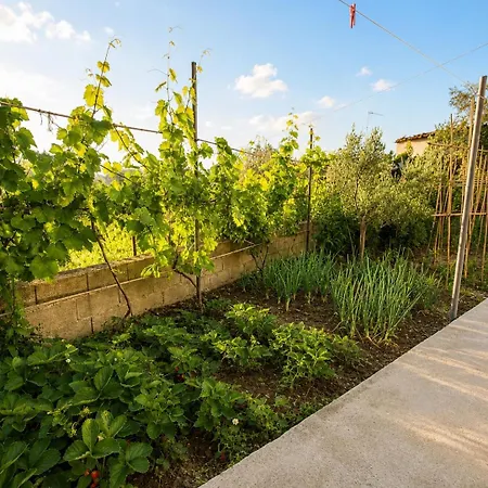 Homestay szállás Casaviola Albania *