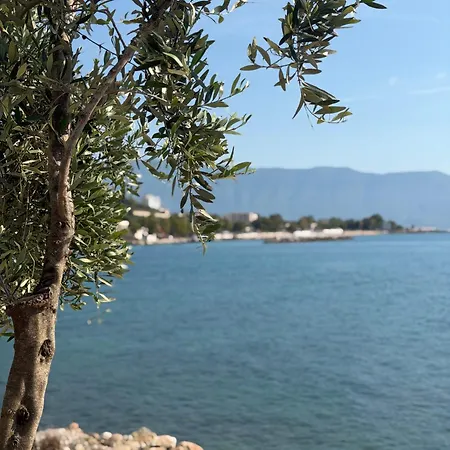 Casaviola Albania * Avlonya